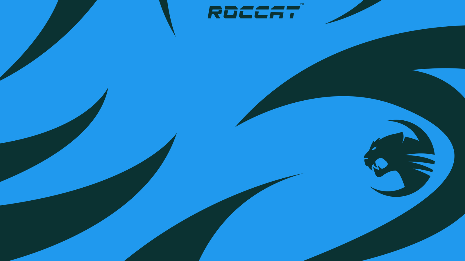 Roccat
