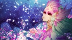 River Spirit Nami
