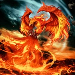 Phoenix Anivia by NickDod HD Wallpaper Artwork Fan Art League of Legends lol