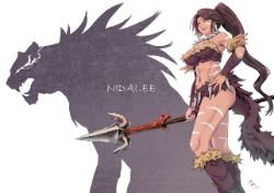 Nidalee by 珍緑 HD Wallpaper Fan Artwork League of Legends lol