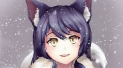 Winter Ahri by B.C League of Legends Artwork HD Wallpaper lolFan Art Artwork