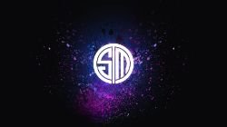 TSM