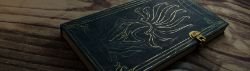 Vastaya Journal Promo HD Wallpaper Official Artwork League of Legends lol