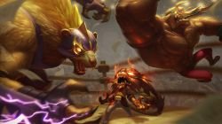 El Leon Gnar, El Macho Mundo and El Rayo Volibear